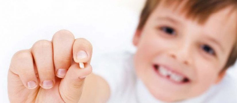 Quy trình bảo quản răng sữa có thể cứu tính mạng con bạn sau này Nhakhoadaiduong-quy-trinh-bao-quan-rang-sua-co-the-cuu-tinh-mang-con-ban-sau-nay-825x360